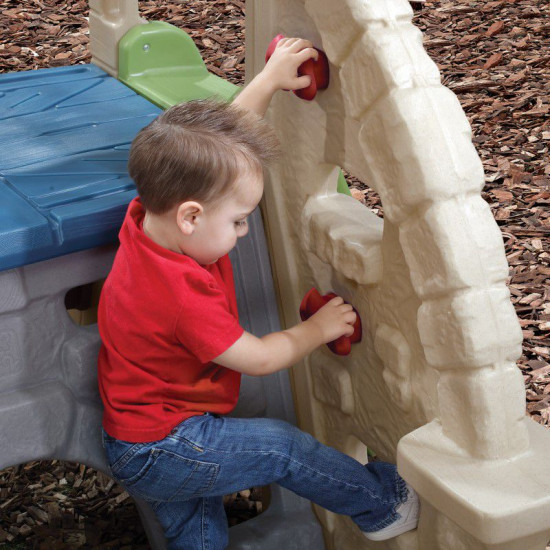 Alpine Ridge Climber & Slide Alpine Ridge Climber & Slide